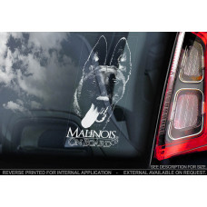 Бельгійський Малинуа (Бельгійська вівчарка) (Belgian Malinois) стикер