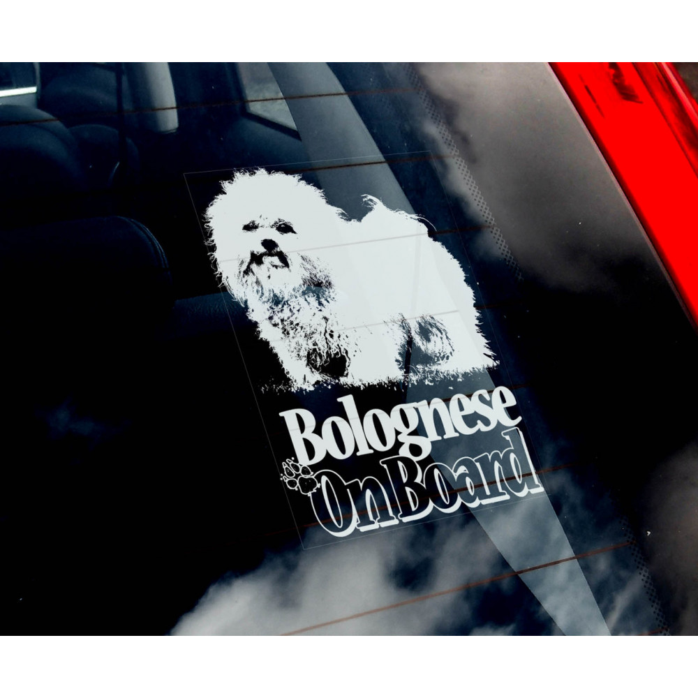 Болонка (Bolognese) стикер 2536581637
