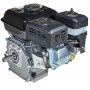Двигун бензиновий Vitals GE 6.0-19k 000165163