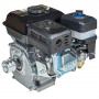 Двигун бензиновий Vitals GE 6.0-19kp 000165166