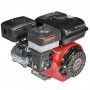 Двигун бензиновий Vitals GE 6.0-19kp 000165166