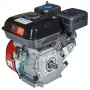 Двигун бензиновий Vitals GE 7.0-25s 000165168