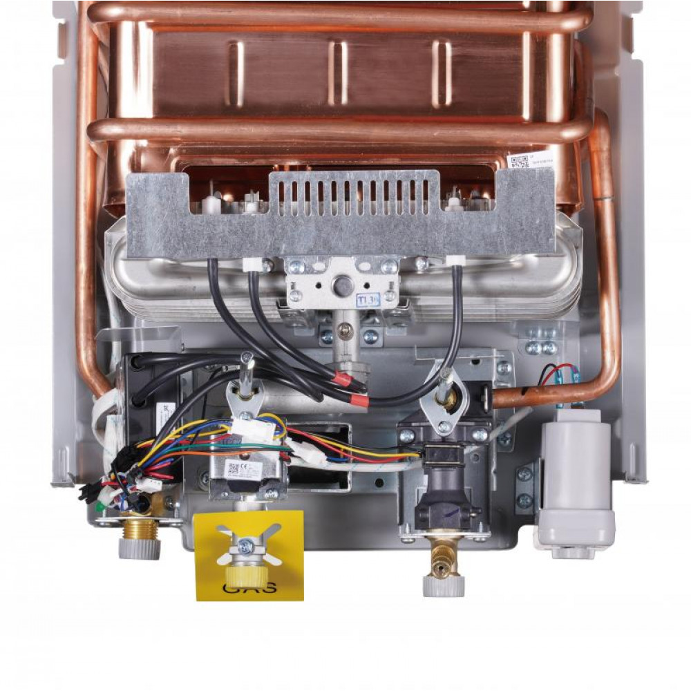 Колонка газова димохідна Thermo Alliance JSD20-10NQB SILVER 10 л EURO+ SD00055172