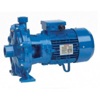 Двухступенчатый центробежный насос Speroni 2C 25/160C