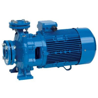 Промышленный центробежный моноблочный насос Speroni CS 65-200C