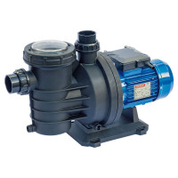 Насос Speroni SWIMM 1000