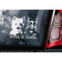 Вест-хайленд-уайт-тер'єр і Шотландський тер'єр Westie and Scottie стикер 2536580804