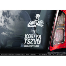 Костя Цзю (Kostya Tszyu) стикер