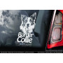 Бордер Коллі (Border Collie) стикер 2536580765