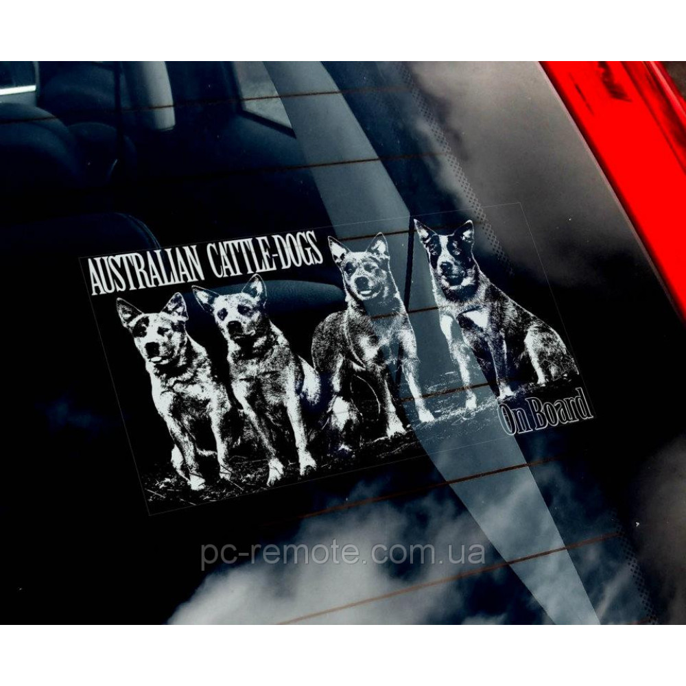 Австралійський Хілер (австралійська пастуша собака) (Australian CattleDog) стикер 2536576927