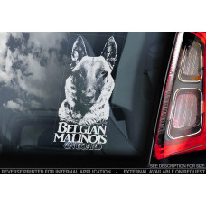Бельгійський Малинуа (Бельгійська вівчарка) (Belgian Malinois) стикер