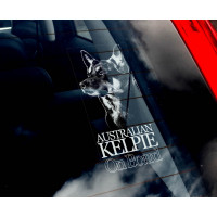 Австралійський Келпі (Australian Kelpie) стикер