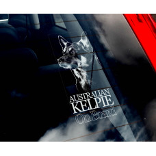 Австралійський Келпі (Australian Kelpie) стикер