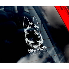 Бельгійський Малинуа (Бельгійська вівчарка) (Belgian Malinois) стикер