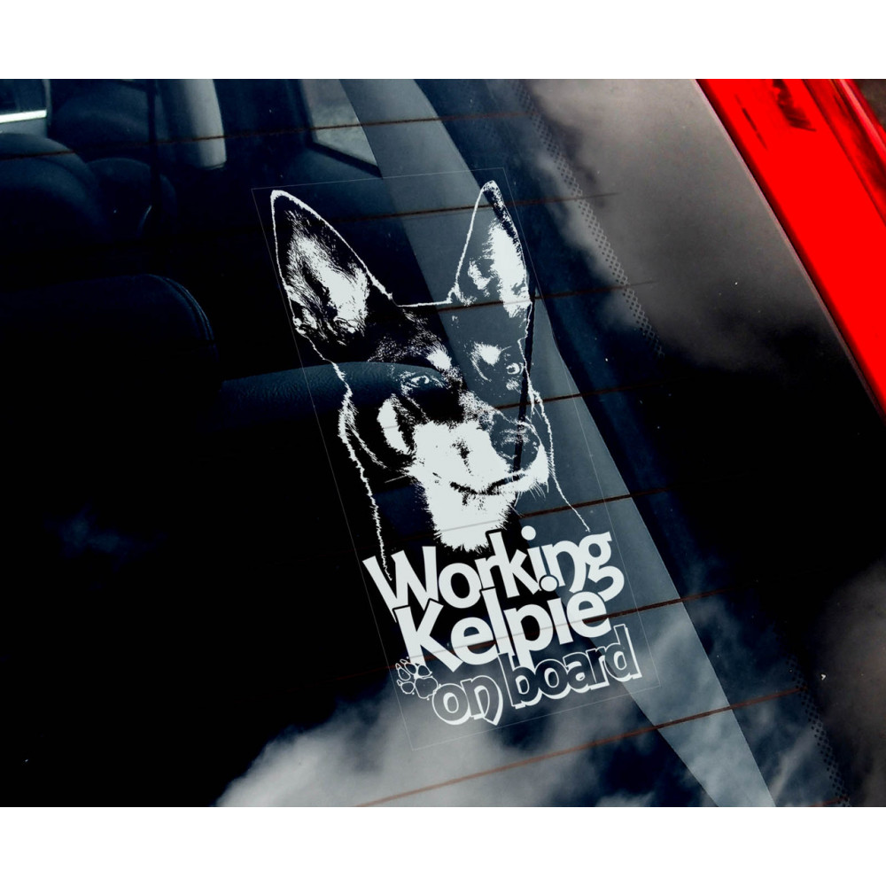 Австралійський Келпі (Australian Kelpie) стикер 2536576928