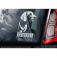 Веймаранер, веймарська легава (Weimaraner) стикер