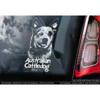 Австралійський Хілер (австралійська пастуша собака) (Australian CattleDog) стикер