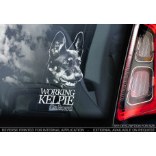 Австралійський Келпі (Australian Kelpie) стикер