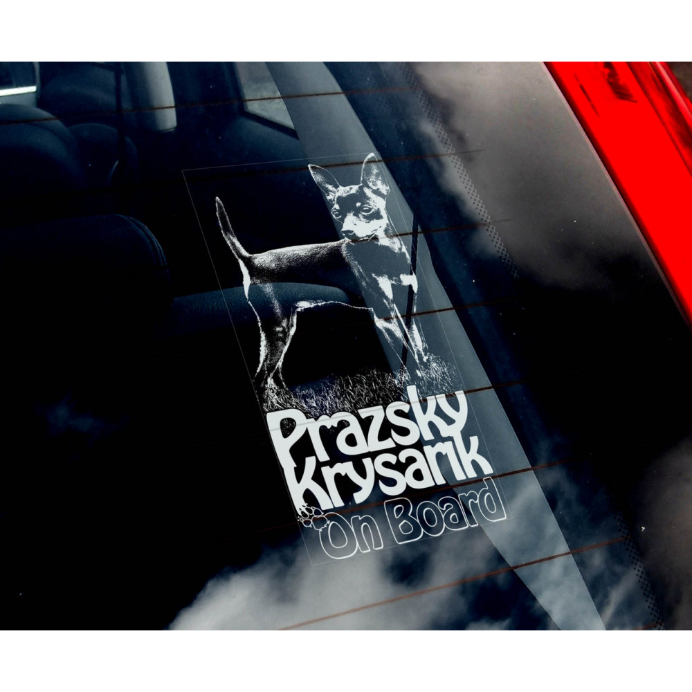 Бражійський щурарик (крисолів) стикер 2536581533