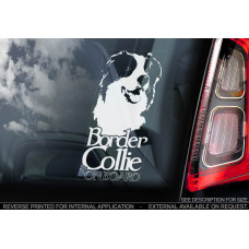 Бордер Коллі (Border Collie) стикер