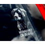 Веймаранер, веймарська легава (Weimaraner) стикер 2536582352