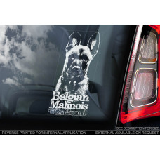 Бельгійський Малинуа (Бельгійська вівчарка) (Belgian Malinois) стикер