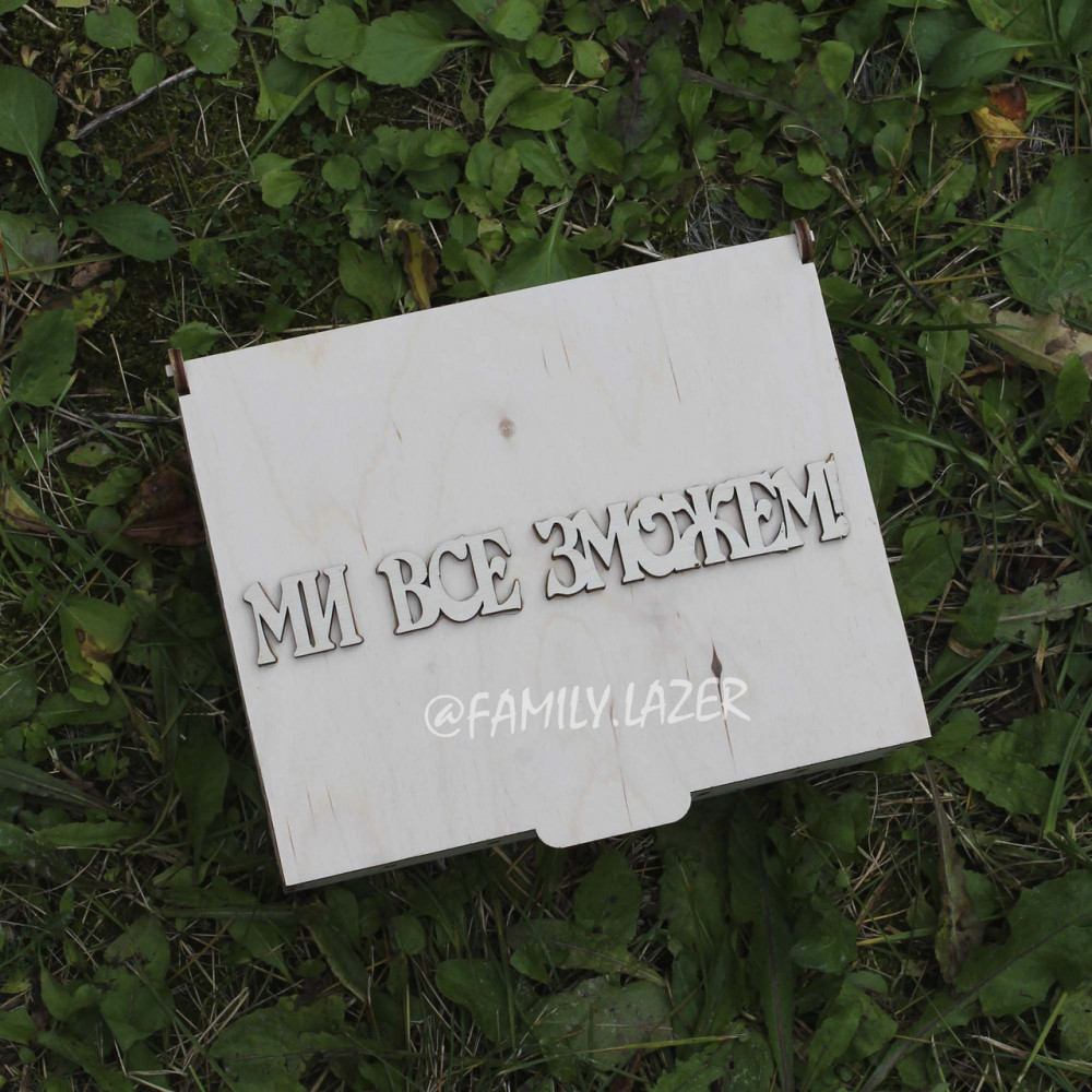 Копилка для денег, копилка 01 2425823557