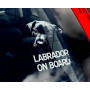 Лабрадор стикер 2536582377