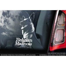 Бельгійський Малинуа (Бельгійська вівчарка) (Belgian Malinois) стикер