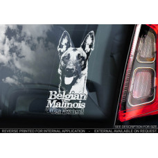 Бельгійський Малинуа (Бельгійська вівчарка) (Belgian Malinois) стикер
