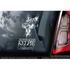 Австралійський Келпі (Australian Kelpie) стикер
