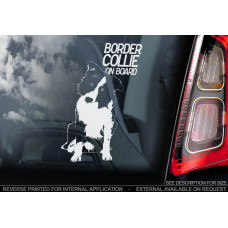Бордер Коллі (Border Collie) стикер