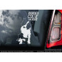 Бордер Коллі (Border Collie) стикер 2536576965