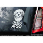 Лхаса Апсо (Лхаський Апсо) (Тибетський Тер'єр) (Lhasa Apso) стикер 2536576879