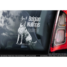 Бельгійський Малинуа (Бельгійська вівчарка) (Belgian Malinois) стикер