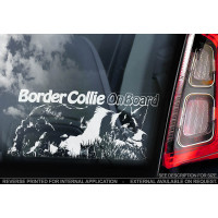 Бордер Коллі (Border Collie) стикер