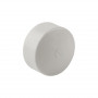 Заглушка PPR Thermo Alliance 50 SD00029208