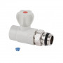 Кран кульовий радіаторний PPR Thermo Alliance 25х3/4" прямий SD00029239