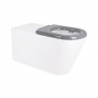 Унітаз підлоговий Qtap Freedom інклюзивний безбачковий Rimless безобідковий з сидінням Soft-close WHITE SD00052584