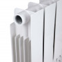 Радіатор біметалічний Thermo Alliance Bi-Ferrum 300/100 SD00052841