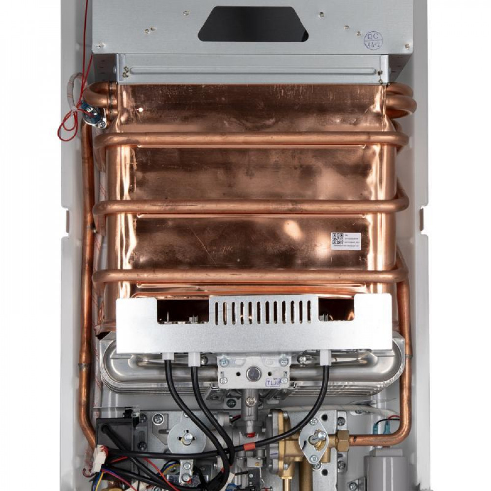 Колонка газова димохідна Thermo Alliance JSD20-10QB 10 л EURO SD00024548