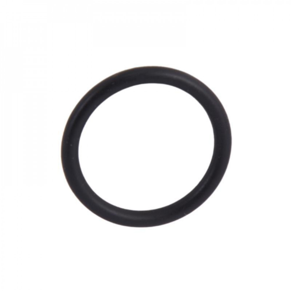 Запчастина: Ewa 24 ущільнювальне кільце для ніпеля 20,29×2,62 мм (15311009000014) Thermo Alliance SD00051974