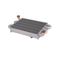 Теплообмінник Sime Brava One/Brava Slim /Format DGT 25 BF основний